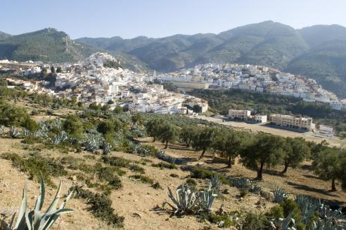 a view of a town on a mountain at Dar Zerhoune in Moulay Idriss Zerhoun
