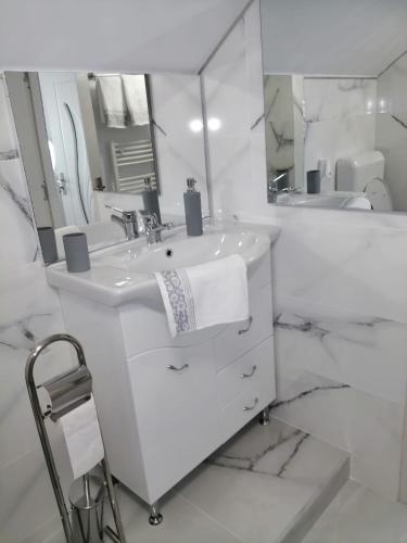 un bagno bianco con lavandino e specchio di Lovely loft a Cluj-Napoca