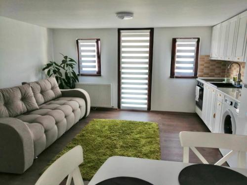 uma sala de estar com um sofá e um tapete verde em Lovely loft em Cluj-Napoca