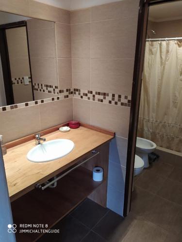 a bathroom with a sink and a toilet at LodeJimmy in El Chalten