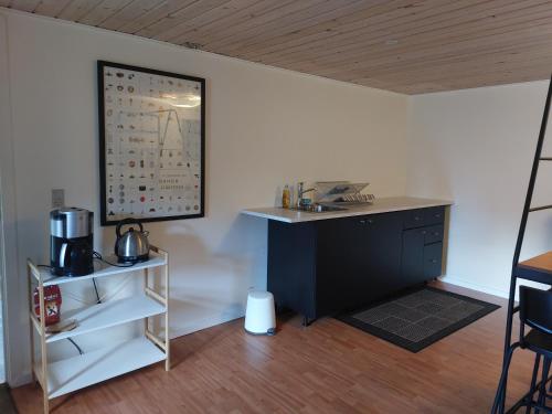 Zimmer mit einem Schreibtisch, einem Regal und einer Wand in der Unterkunft KRAGKAER Deer-Lodge B&B A unique holiday home in Sæby
