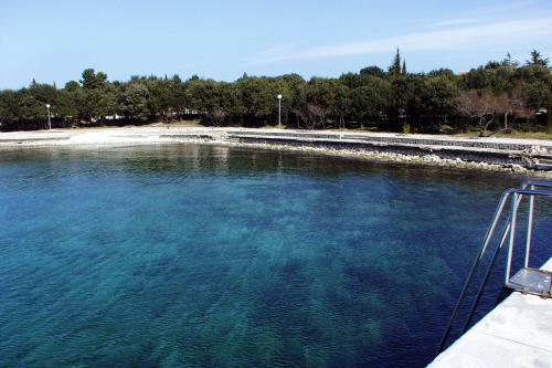 Fotografia z galérie ubytovania Apartments by the sea Petrcane, Zadar - 13490 v destinácii Petrcane