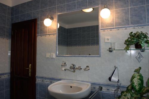 a bathroom with a sink and a mirror at Vila Terezie in Staré Splavy