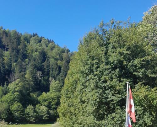 Un paisaje natural cerca de la casa vacacional