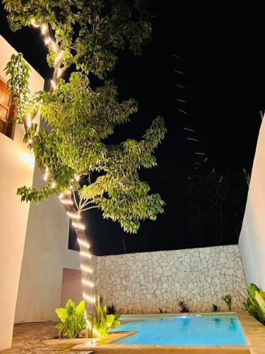 Πισίνα στο ή κοντά στο Casa bix a beel.