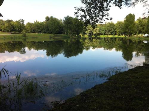 a pond in a park with its reflection in the water at ibis budget Issoire in Issoire