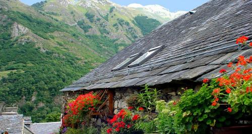 a house with flowers on it with mountains in the background at Hôtel La Grange Aux Marmottes in Viscos