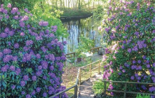 a garden with purple flowers next to a river at Nice Home In Halmstad With Kitchen in Öppinge
