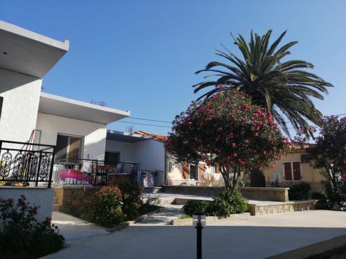 a house with a palm tree in front of it at Alexander Apartments Nea Koutali in Néa Koútali