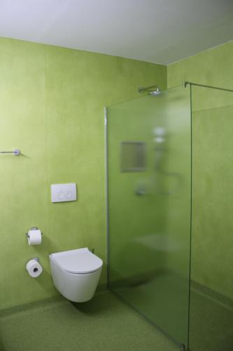 a bathroom with a toilet and a glass shower at Hotel/Pension Rast& Ruh in Zodel