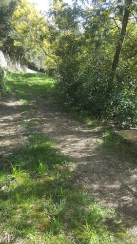 un chemin de terre avec de l'herbe et des arbres dans l'établissement Cévennes Méridionales maison linge fourni, à Saint-Marcel-de-Fontfouillouse