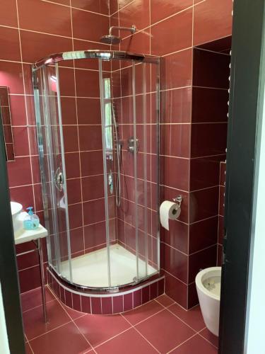 a red tiled bathroom with a shower and a toilet at Zámeček Ostrov in Ostrov