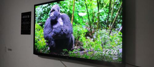 um ecrã de televisão com uma imagem de um urso em Pousada Bela Vista Maricá em Maricá