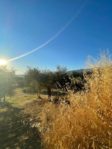 Area Campeggio Masusà