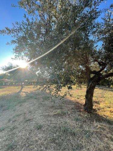 Area Campeggio Masusà – Photos 2