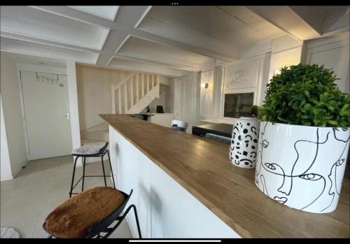 une cuisine avec un grand vase et une plante sur un comptoir dans l'établissement Appartement plein centre de la ROCHELLE, à La Rochelle