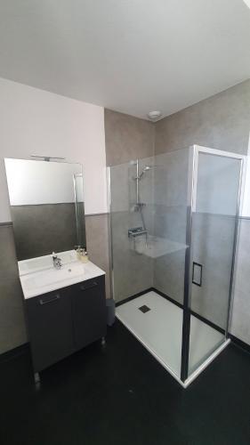 ein Bad mit einer Dusche und einem Waschbecken in der Unterkunft L'Auberge du Campos in Saint-Pierre-Duchamp