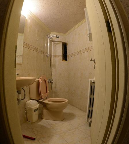 a bathroom with a toilet and a sink at Bauhaus Motel in Bcharré