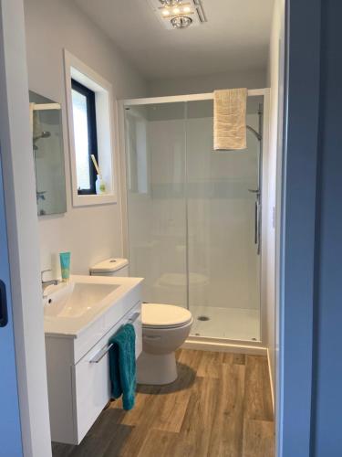 a bathroom with a toilet and a sink and a shower at Location Location Location in Cromwell