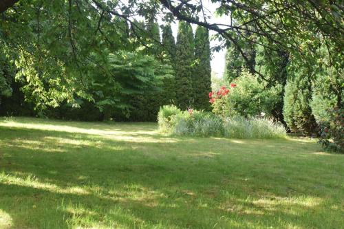 een tuin met groen gras en bomen en bloemen bij Dom Noclegowy Ellen in Jarosław