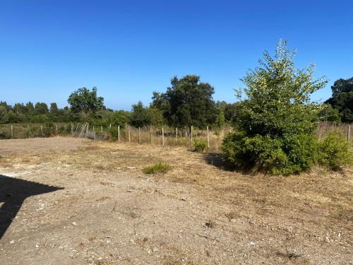 a field with a tree and a fence at Maison chaleureuse à Serra-Di-Fiumorbo in Serracinella