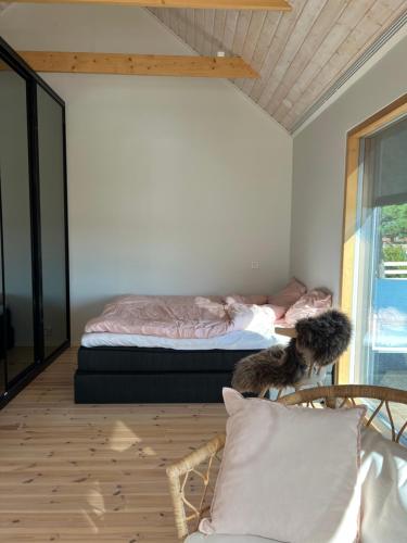 a dog sitting on a chair in a room with a bed at Soda Home - The Tiny House - 24h check in in Närpiö