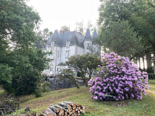 un arbusto de flores púrpuras delante de una casa en Chateau Maleplane, en Saint-Léonard-de-Noblat
