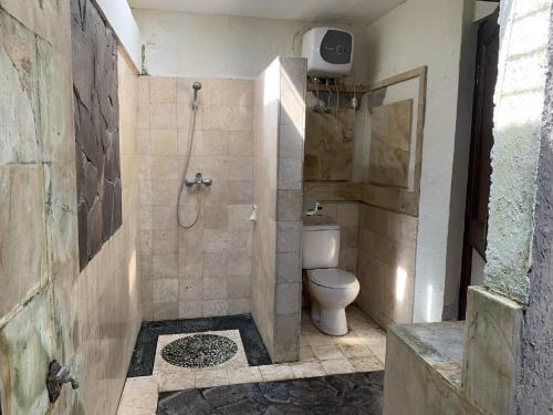 a bathroom with a shower and a toilet in it at Hotel Sanur Indah in Sanur