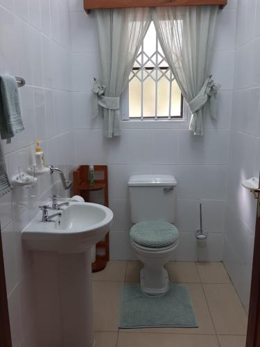 a bathroom with a sink and a toilet and a window at Kruger Southern Cross in Malelane