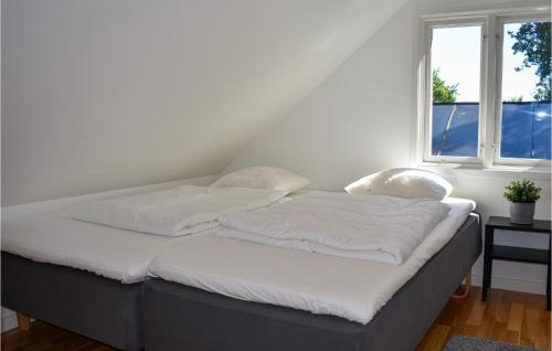 two beds in a room with two windows at 2 Bedroom Amazing Home In Fjälkinge in Fjälkinge