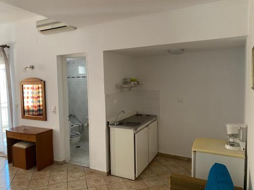 a kitchen with a sink and a toilet in a room at Hotel Damo in Pythagoreio