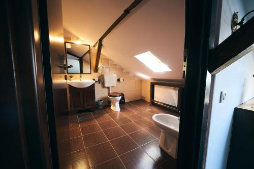 an attic bathroom with a toilet and a sink at Residence Villa Barrio in Bucharest