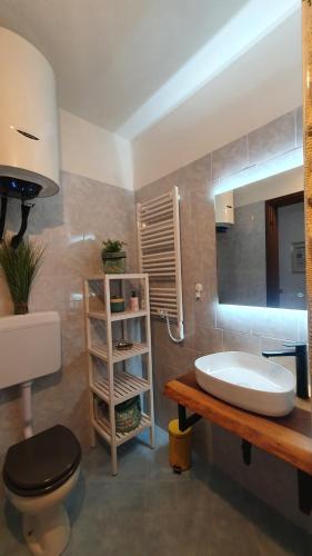 uma casa de banho com um lavatório, um WC e um espelho. em Elisa - Rebomaholidays em Tignale