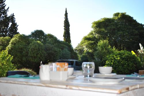 Κήπος έξω από το Roundhouse Guesthouse