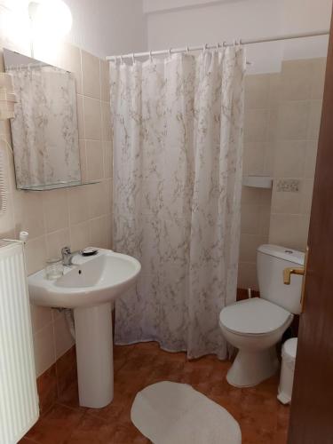 a bathroom with a sink and a toilet and a shower curtain at Traditional Guesthouse Vrigiis in Agios Germanos
