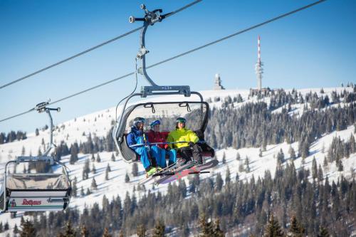 eine Gruppe von Personen, die auf einem Skilift sitzen in der Unterkunft Haus Panoramablick - Fewo Alpenblick, Höchenschwand in Höchenschwand