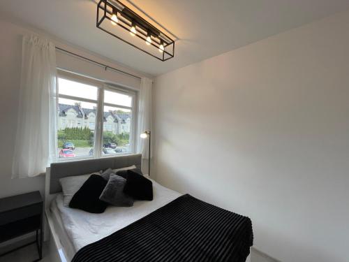 sypialnia z łóżkiem i oknem w obiekcie Modern Box Apartment w mieście Gdynia