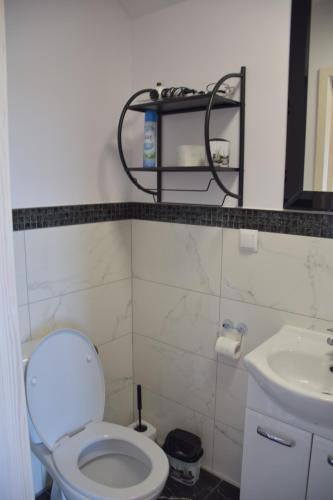 a bathroom with a toilet and a sink at Noclegi Święta Katarzyna ,, Pod Jeleniami "prawdziwymi in Święta Katarzyna