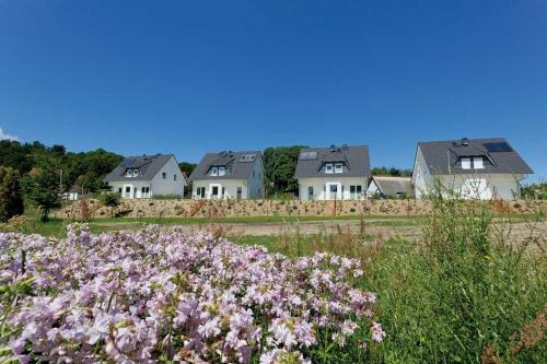 a group of houses in a field with flowers at Ferienhaus Alt Sallenthin 10 A, "Sand" in Neu Sallenthin