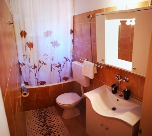 La salle de bains est pourvue de toilettes, d'un lavabo et d'une douche. dans l'établissement Apartments by the sea Ivan Dolac, Hvar - 8700, à Jelsa