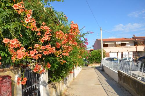 Via Delle Ginestre - FPO-GINEBIG - GINELIT