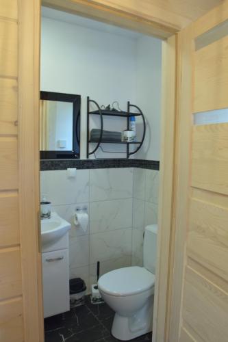 a bathroom with a toilet and a sink and a mirror at Noclegi Święta Katarzyna ,, Pod Jeleniami "prawdziwymi in Święta Katarzyna