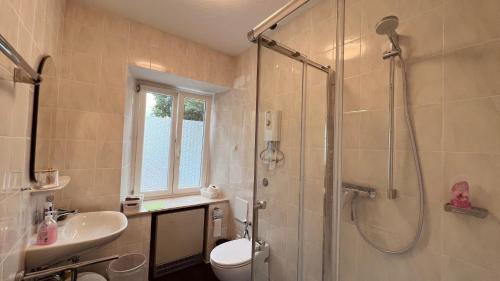 y baño con ducha, aseo y lavamanos. en Sehr zentrales und modernes Zimmer in Isny im Allgäu mit Gemeinschaftsbad, en Isny im Allgäu