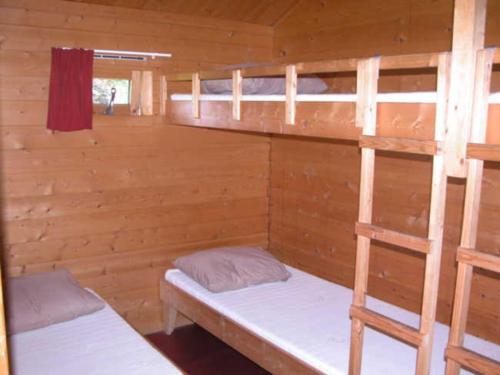 a cabin with two bunk beds and a ladder at Trekkershut Plus voor 5 personen incl keuken in Zwiggelte