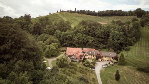 an aerial view of a house in a vineyard at Bio Weingut Matthias Schnabl in Gamlitz
