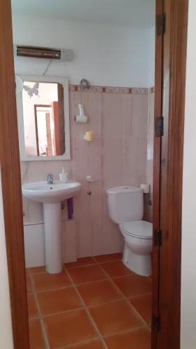 ein Badezimmer mit einem Waschbecken, einem WC und einem Spiegel in der Unterkunft Casa El Azahin in Cazalla de la Sierra