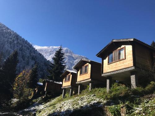 a group of wooden cabins on a mountain at Kardelen Bungalov Evleri̇ in Ayder Yaylasi