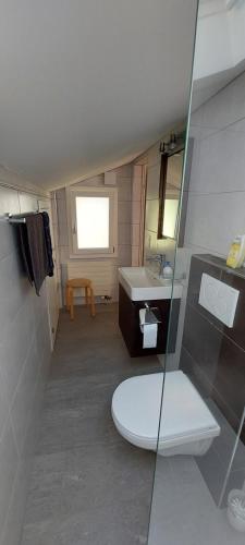 uma casa de banho com um WC e um lavatório em Chalet Sunnmätteli em Wilderswil