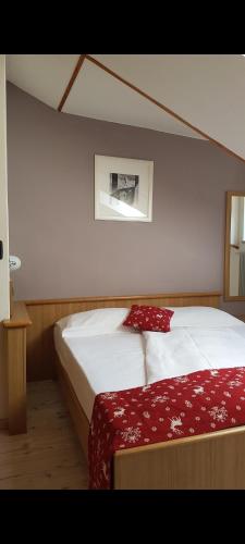 a bedroom with a bed with a red blanket at Ciasa Alpina Relax Hotel in Moena
