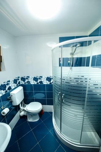 a bathroom with a toilet and a glass shower at Casa de vacanta Sadu in Sadu